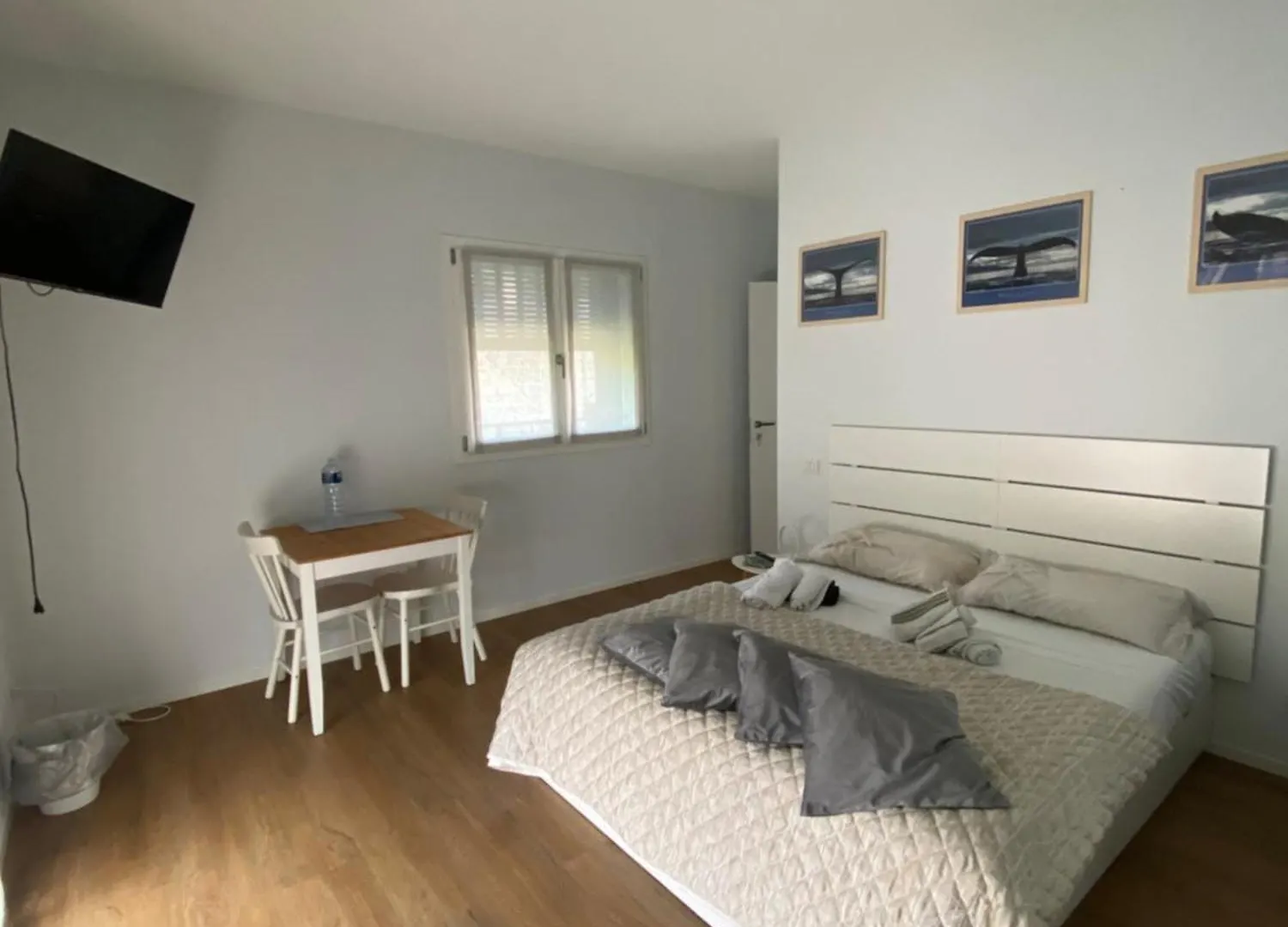 Room259 Treviso Penzion